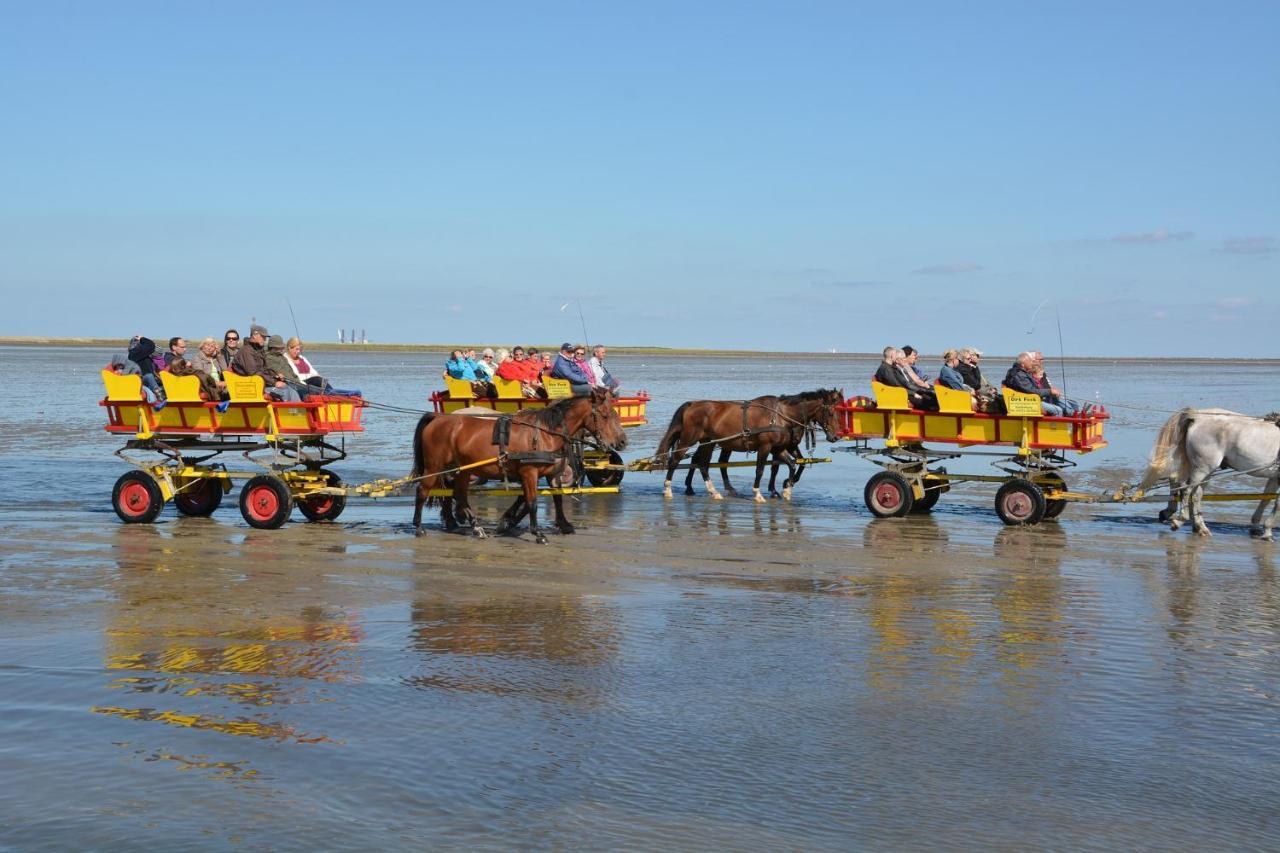 Appartamento Luettje Huus Frieda Mit Strandkorb Am Strand Von Mai Bis September Cuxhaven Esterno foto